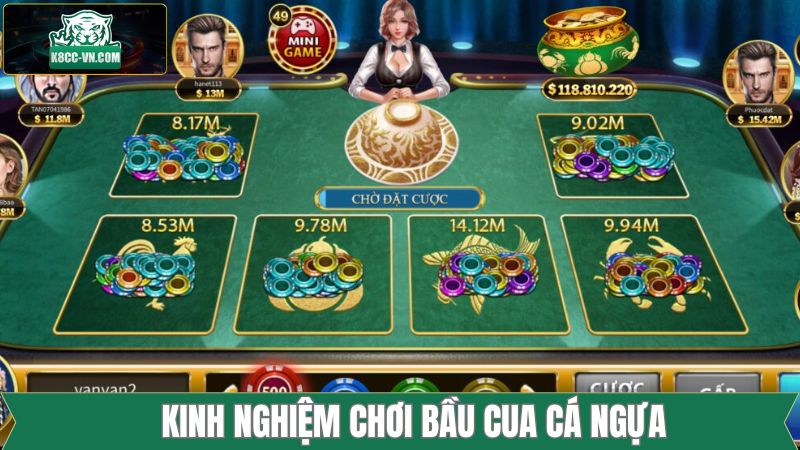 Bầu Cua Cá Ngựa - Chinh Phục Thắng Lớn Dễ Dàng Từ K8CC 4 Mẹo chơi bầu cua cá ngựa nên phân bổ vốn phù hợp