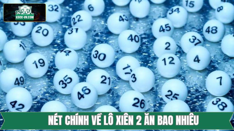 Lô Xiên 2 Ăn Bao Nhiêu - Giải Đáp Tỷ Lệ Thưởng Cùng K8CC 2 Nét chính về lợi nhuận từ lô xiên 2