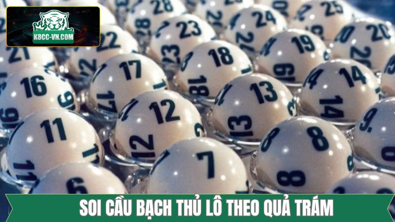 Bạch Thủ Lô - Phương Pháp Soi Cầu Bất Bại Từ Cao Thủ K8cc 4 Bắt bạch thủ chuẩn xác theo quả trám