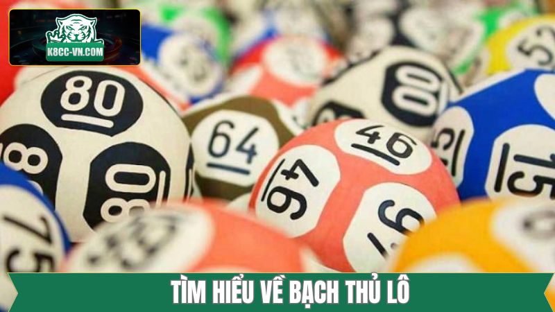 Bạch Thủ Lô - Phương Pháp Soi Cầu Bất Bại Từ Cao Thủ K8cc 2 Khái quát về thuật ngữ bạch thủ lô